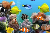 Custom Fish Tank Gaming PC Ryzen 5(no gpu) | Jawa