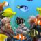 Custom Fish Tank Gaming PC Ryzen 5(no gpu) | Jawa
