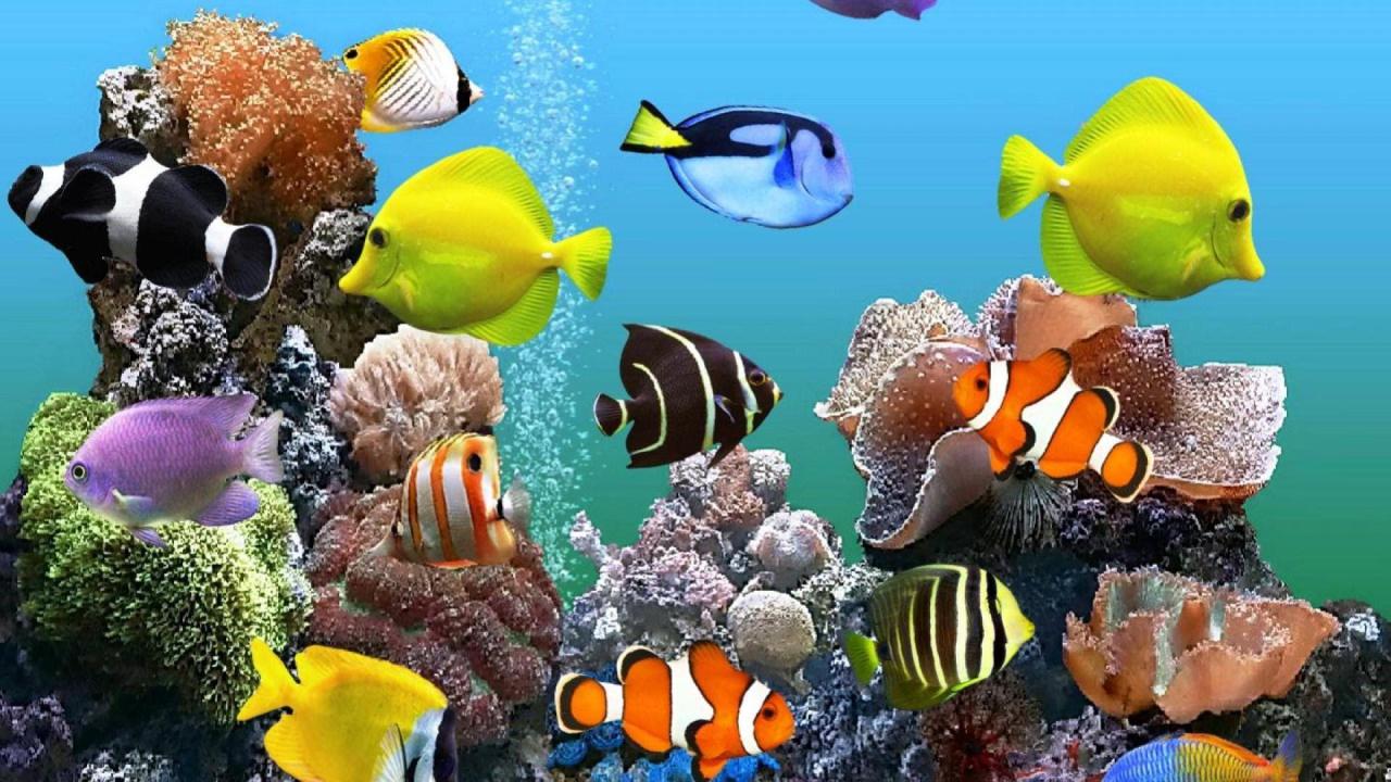 Custom Fish Tank Gaming PC Ryzen 5(no gpu) | Jawa