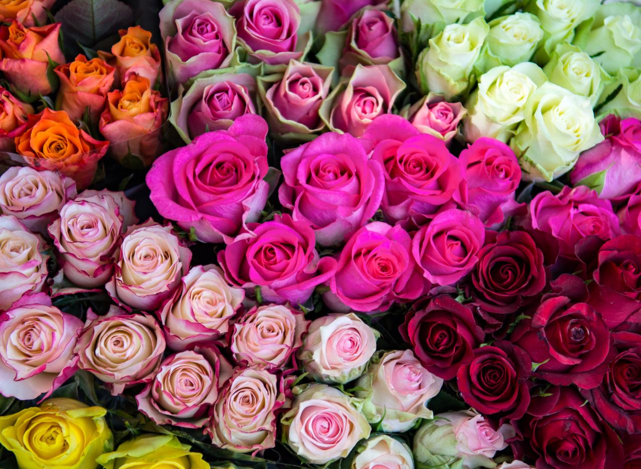 Beautiful Roses Bouquet - Wallpaper, High Definition, High Quality ...