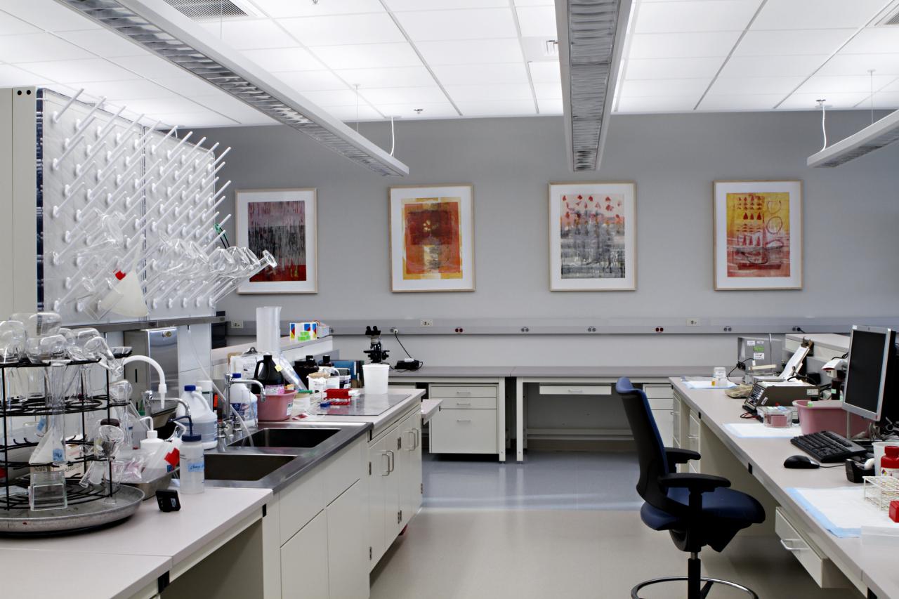 Movie Lab building transforming into science lab