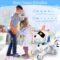 Robot Dog Toys For Kids 8 9 10 11 12 | Desertcart UAE
