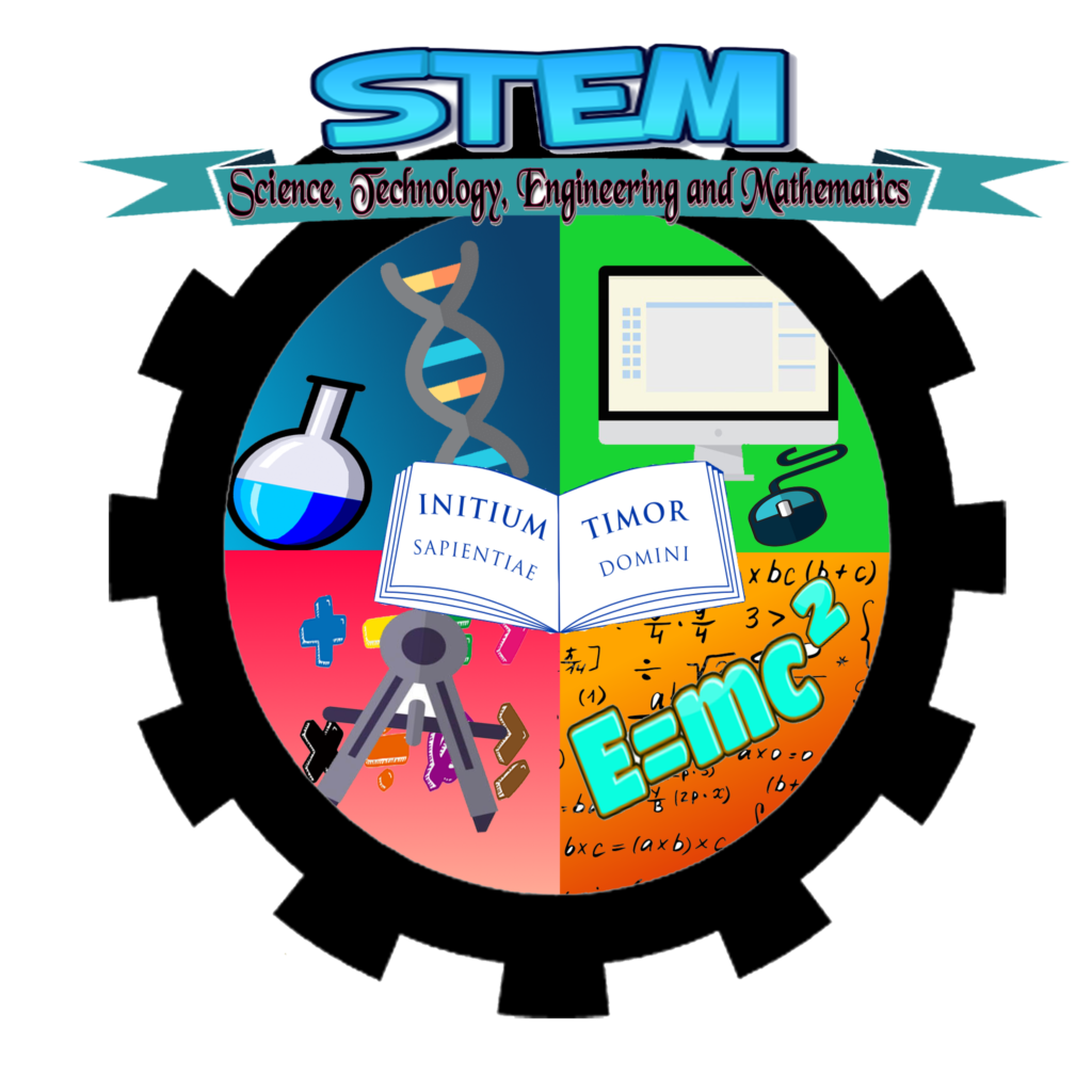Top 5 Most Popular STEM Majors to Study | Rostrum Education